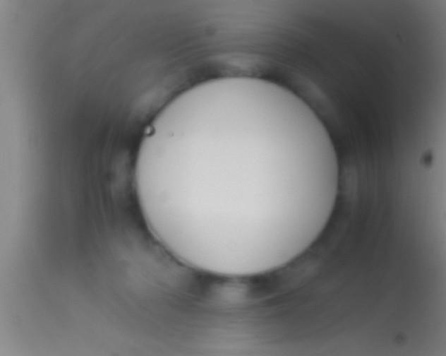 X0000113930318200910161857