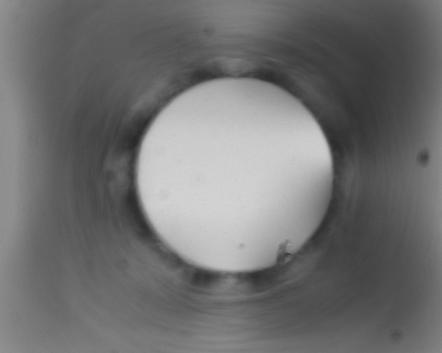 X0000113930319200910161857