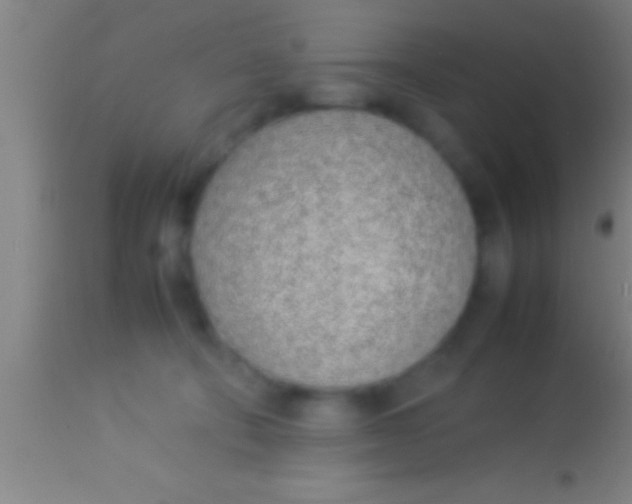 X0000113930322200910161857