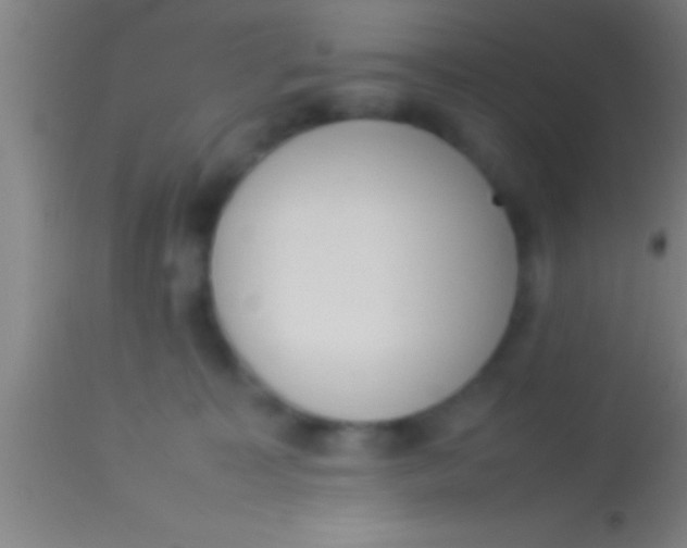 X0000113930323200910161857