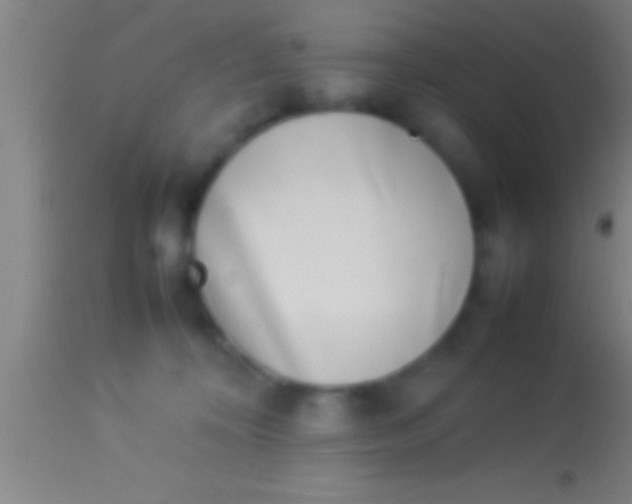 X0000113930324200910161857