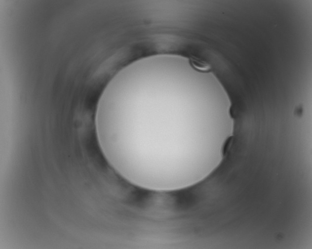 X0000113930327200910161857