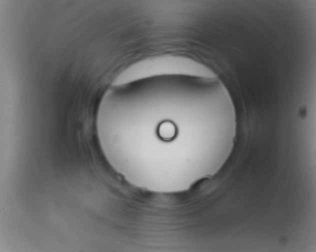 X0000113930328200910161857