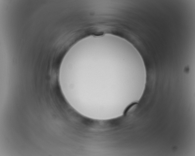 X0000113930329200910161857