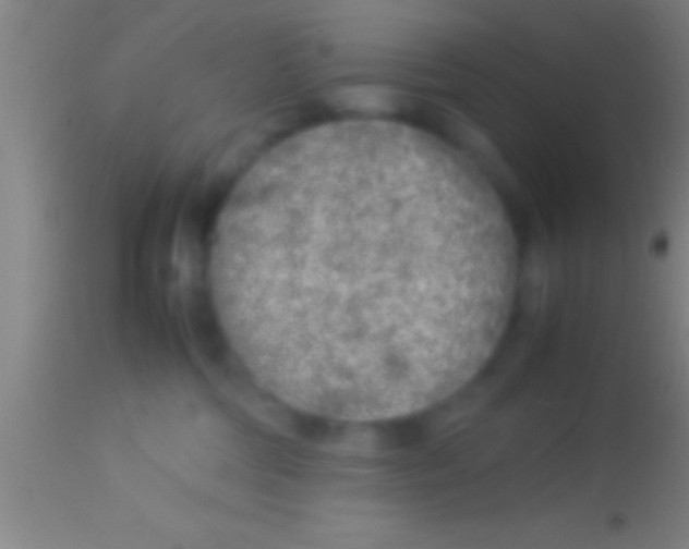 X0000113930330200910161857