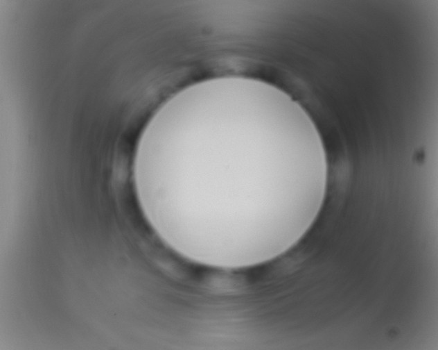 X0000113930331200910161857