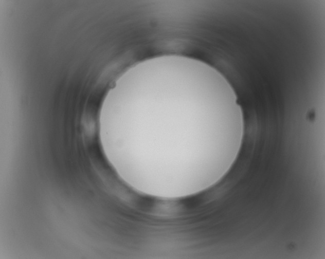 X0000113930334200910161857