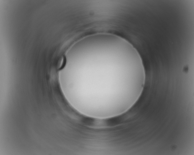 X0000113930335200910161857