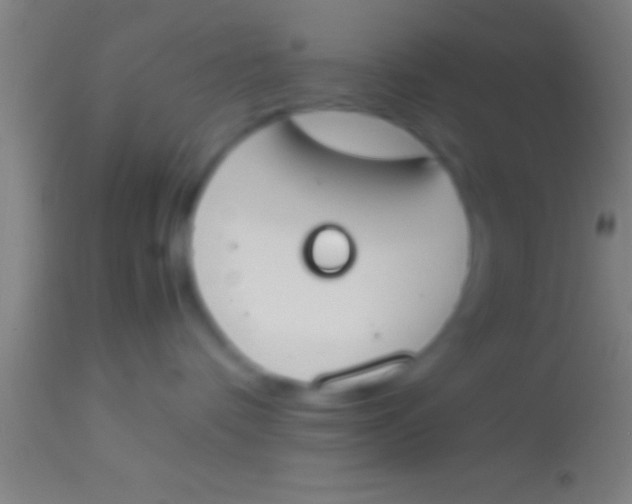 X0000113930336200910161857