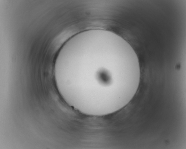 X0000113930338200910161856