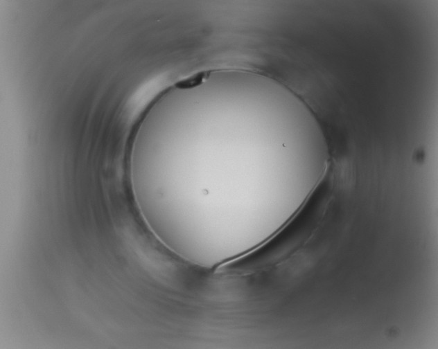 X0000113930340200910161856