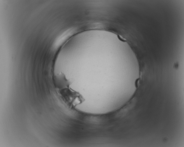 X0000113930341200910161857