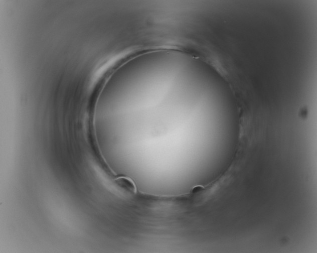 X0000113930342200910161857