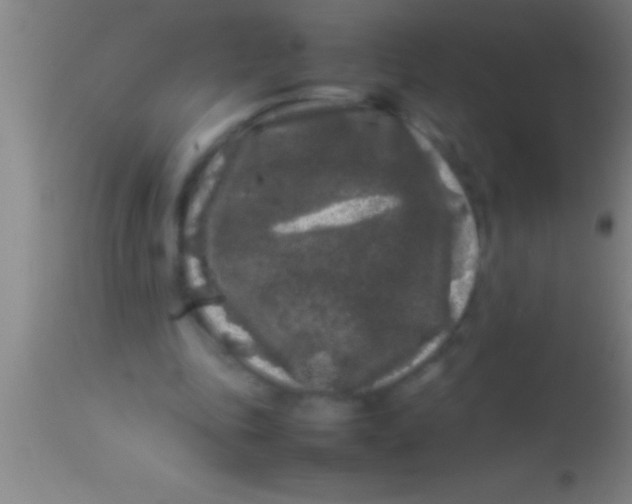 X0000113930343200910161857