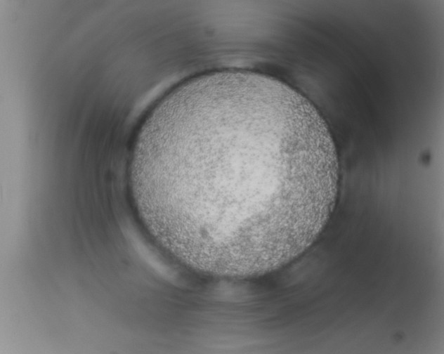 X0000113930346200910161857