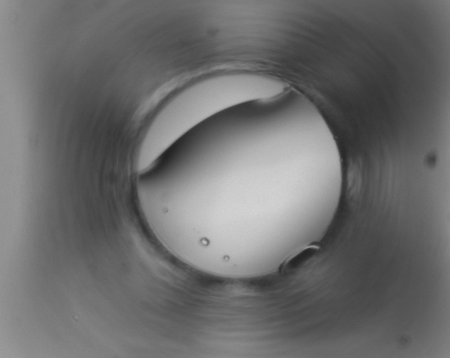 X0000113930348200910161857