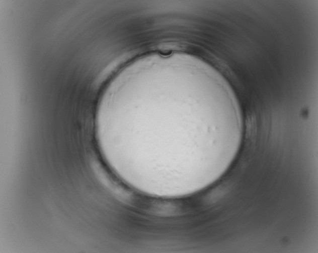 X0000113930349200910161857