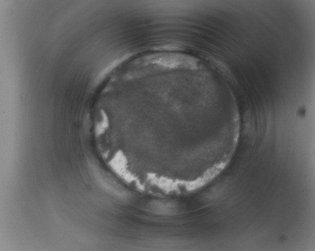 X0000113930351200910161857