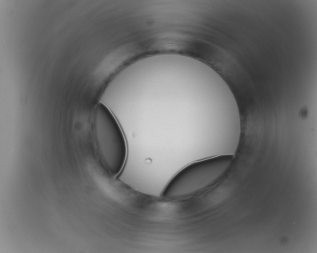 X0000113930352200910161857