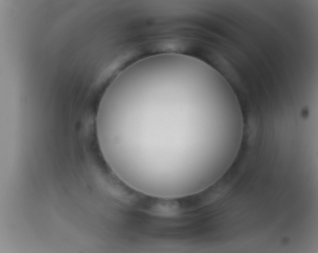 X0000113930355200910161857