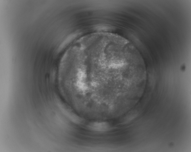 X0000113930357200910161857