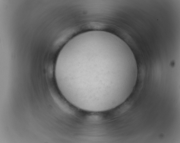 X0000113930358200910161857