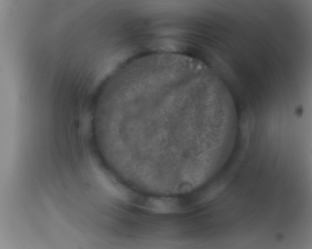 X0000113930359200910161857