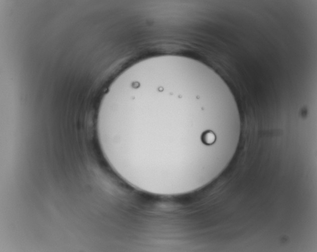 X0000113930360200910161857
