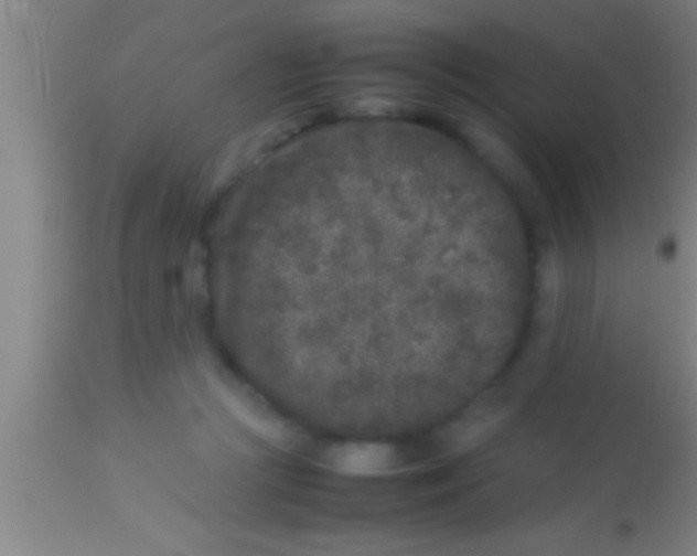 X0000113930361200910161857