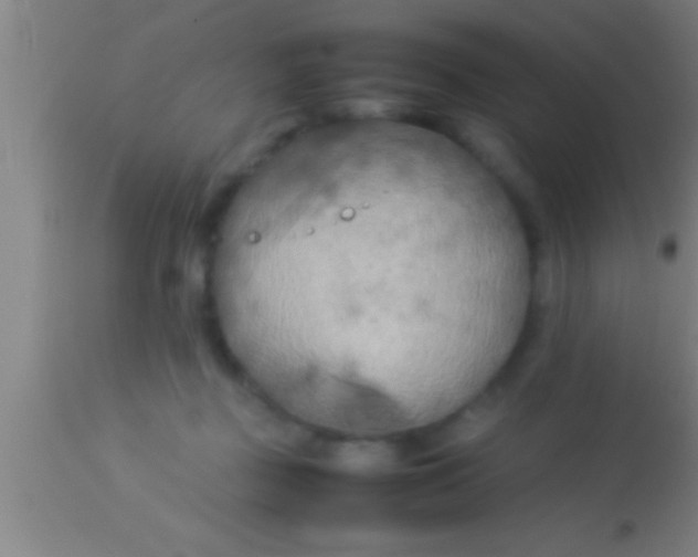 X0000113930363200910161857