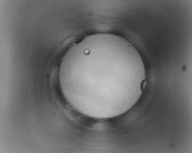 X0000113930364200910161857