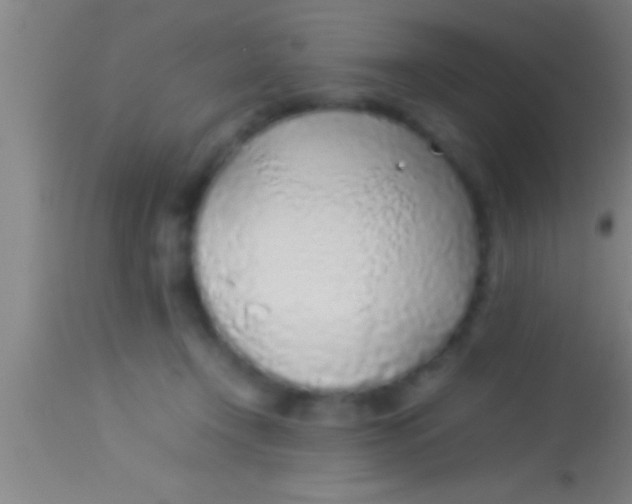 X0000113930366200910161857