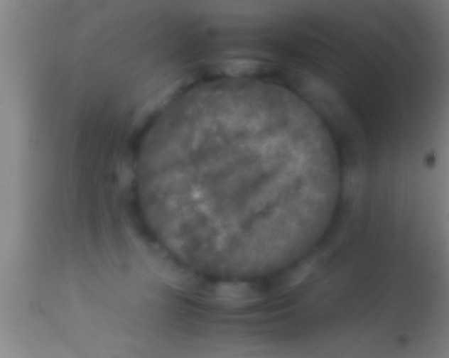 X0000113930367200910161857