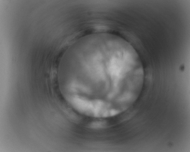 X0000113930369200910161857