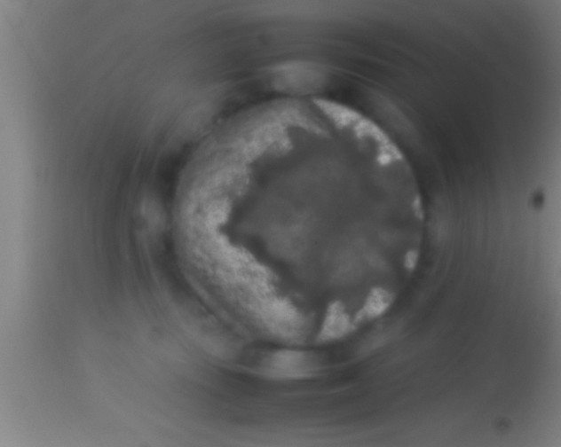 X0000113930371200910161857