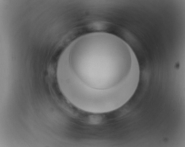 X0000113930373200910161857