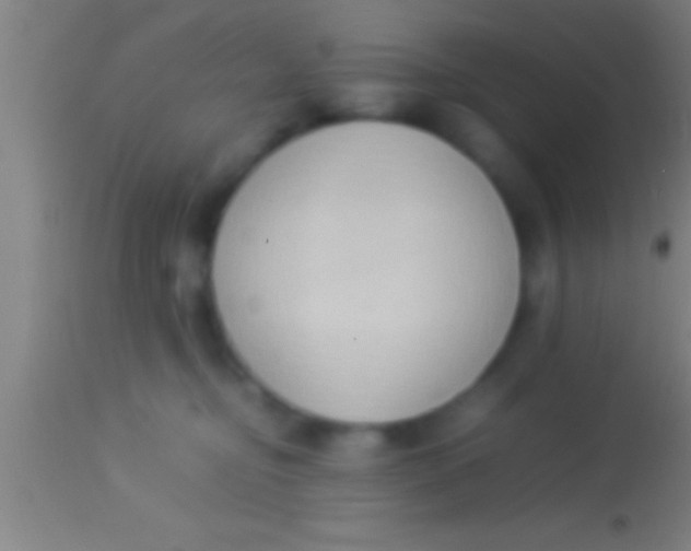 X0000113930374200910161857