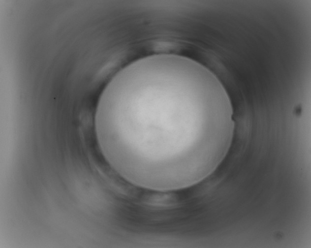 X0000113930375200910161857