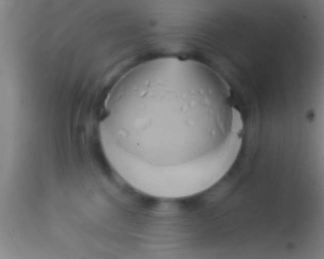 X0000113930376200910161857
