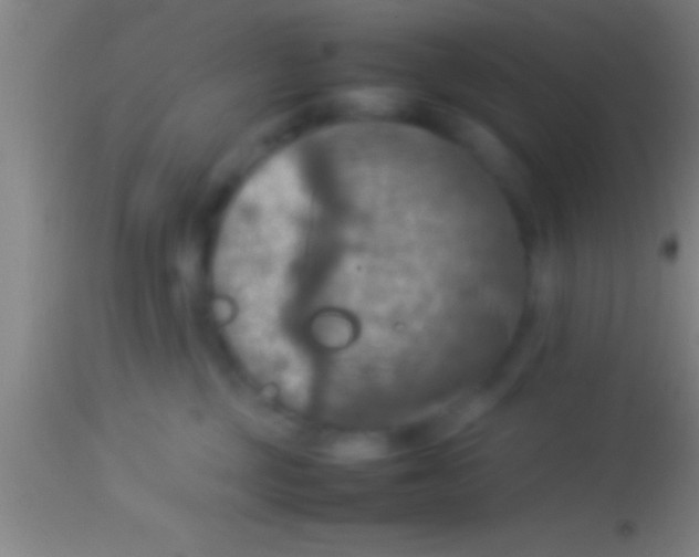 X0000113930377200910161857