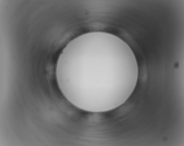 X0000113930378200910161857