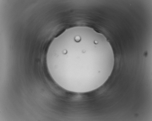 X0000113930379200910161857