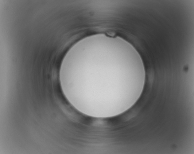 X0000113930380200910161857