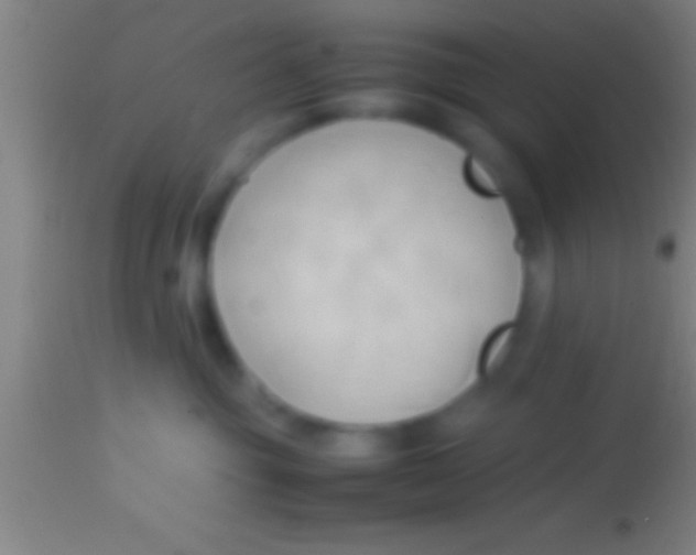 X0000113930381200910161857