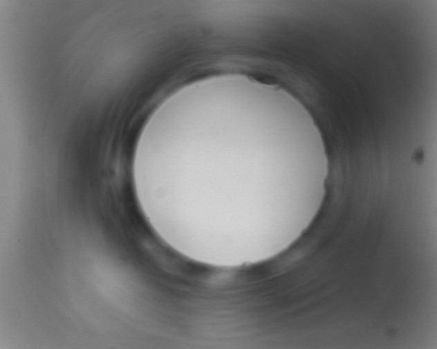 X0000113930382200910161857