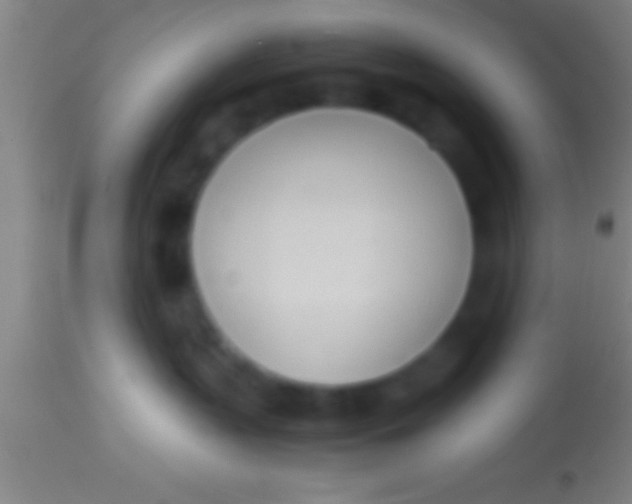 X0000113930383200910161857