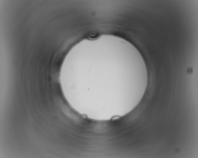 X0000113930384200910161857