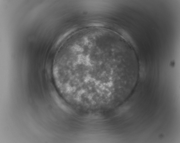 X0000113930386200910161856