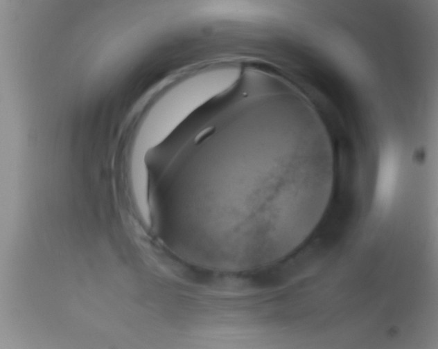 X0000113930387200910161856