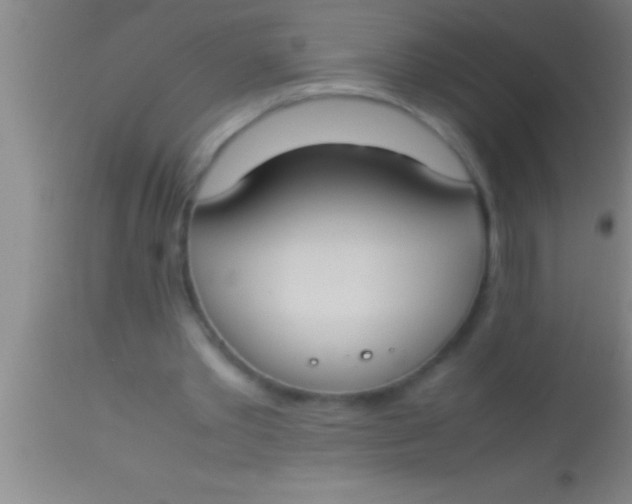X0000113930389200910161856